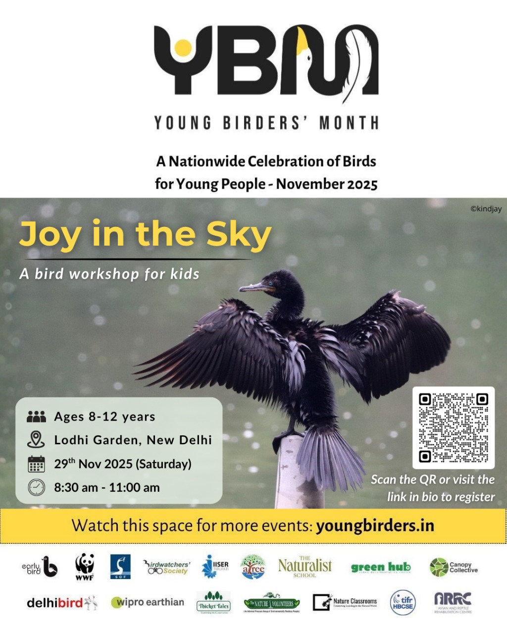 Joy in the Sky