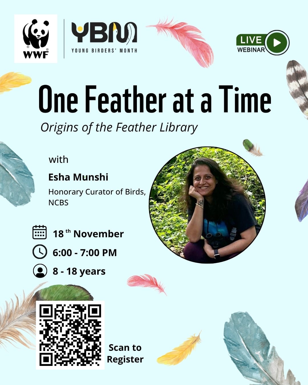 One Feather at a Time Webinar