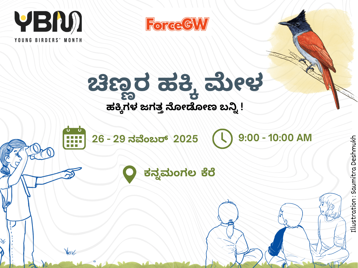 Wings & Wonder – ಚಿಣ್ಣರ ಹಕ್ಕಿ ಮೇಳ