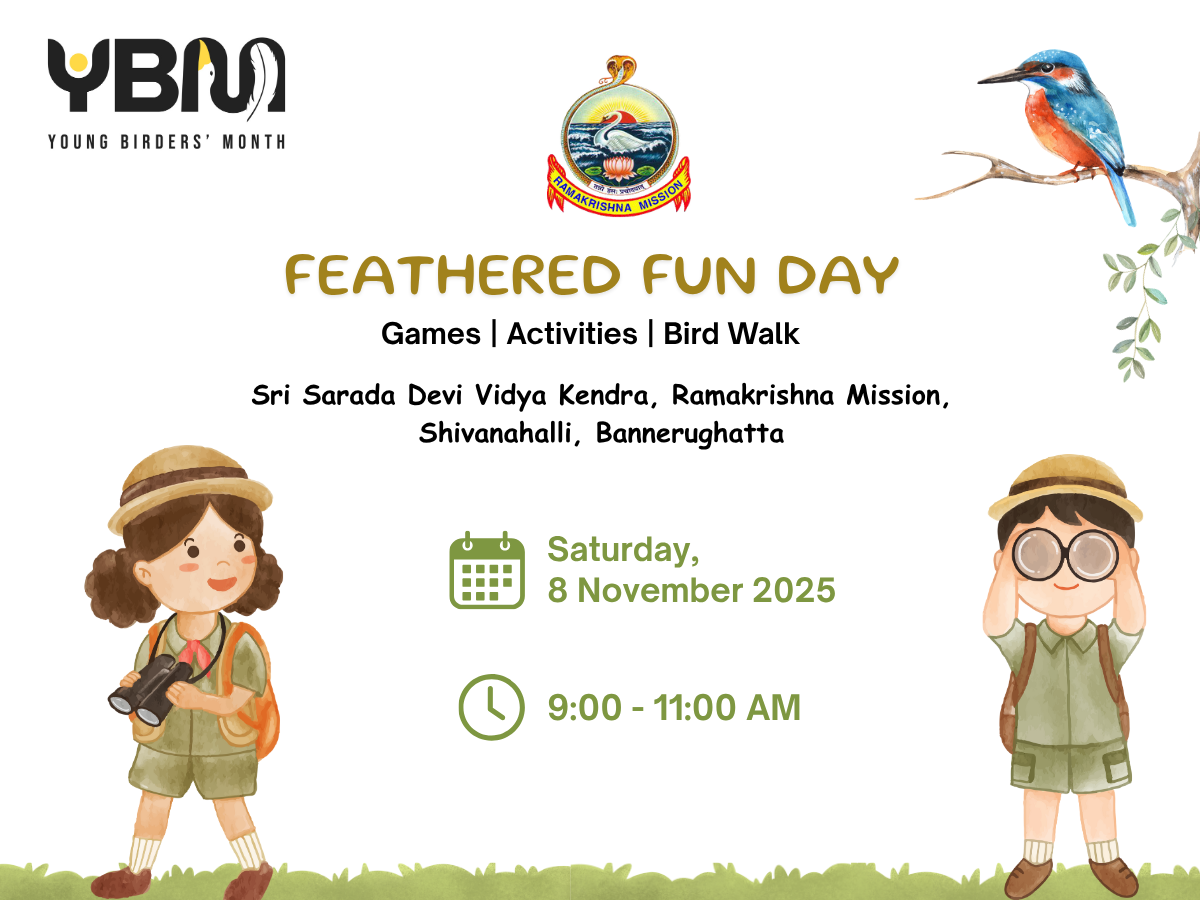 Feathered Fun Day