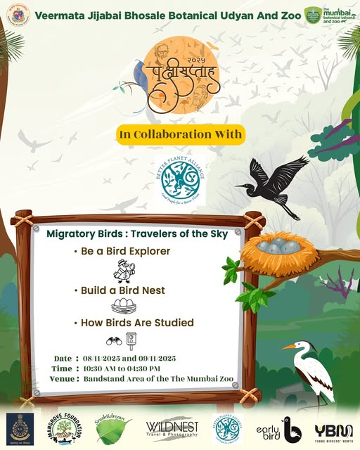Migratory Birds: Travellers of the ”Sky”