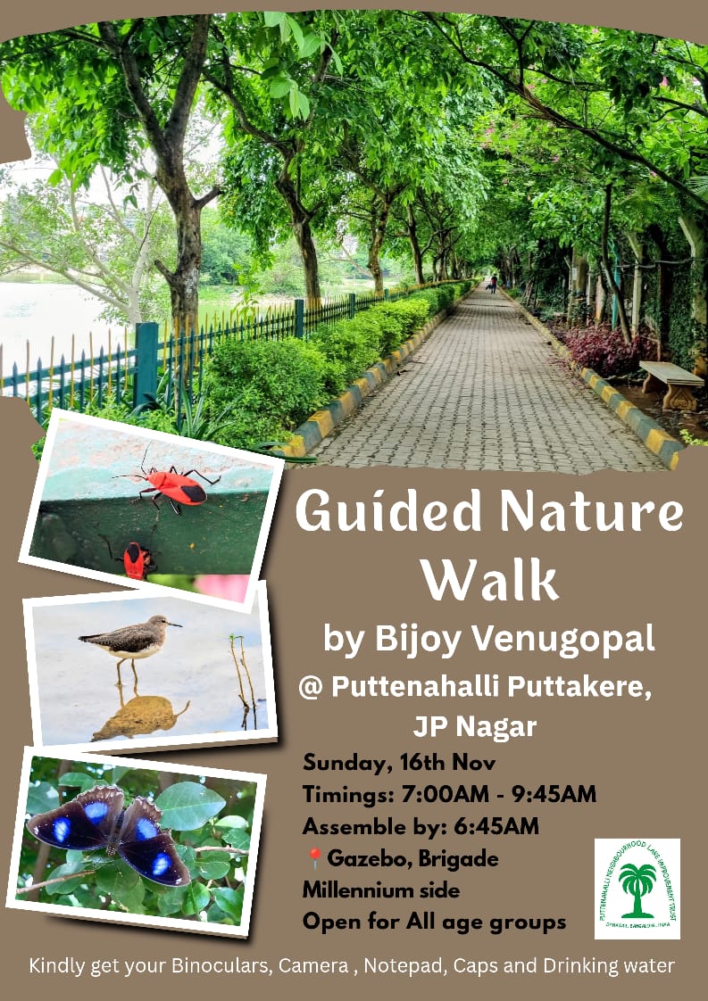 Children’s Day Nature Walk @ Puttenahalli Lake JP Nagar 7th Phase