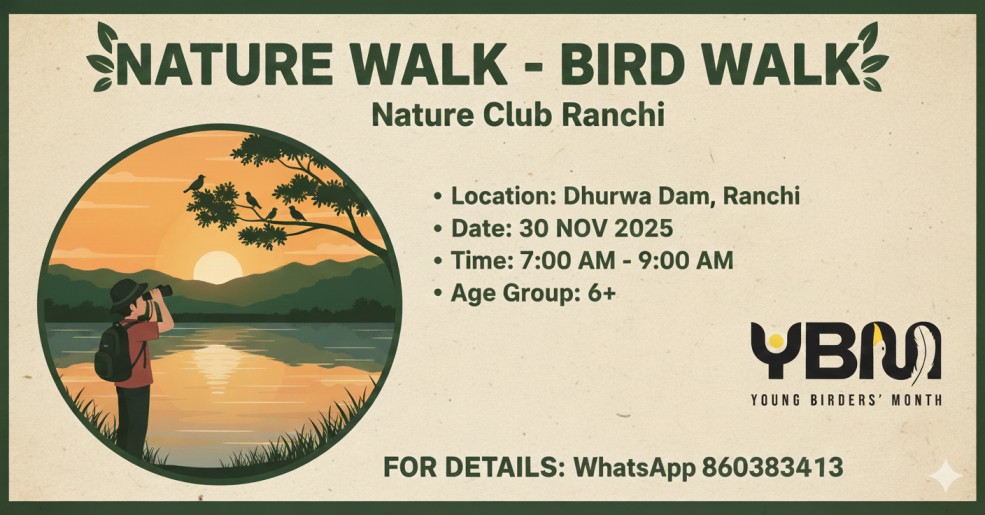 Nature Walk – Bird Walk