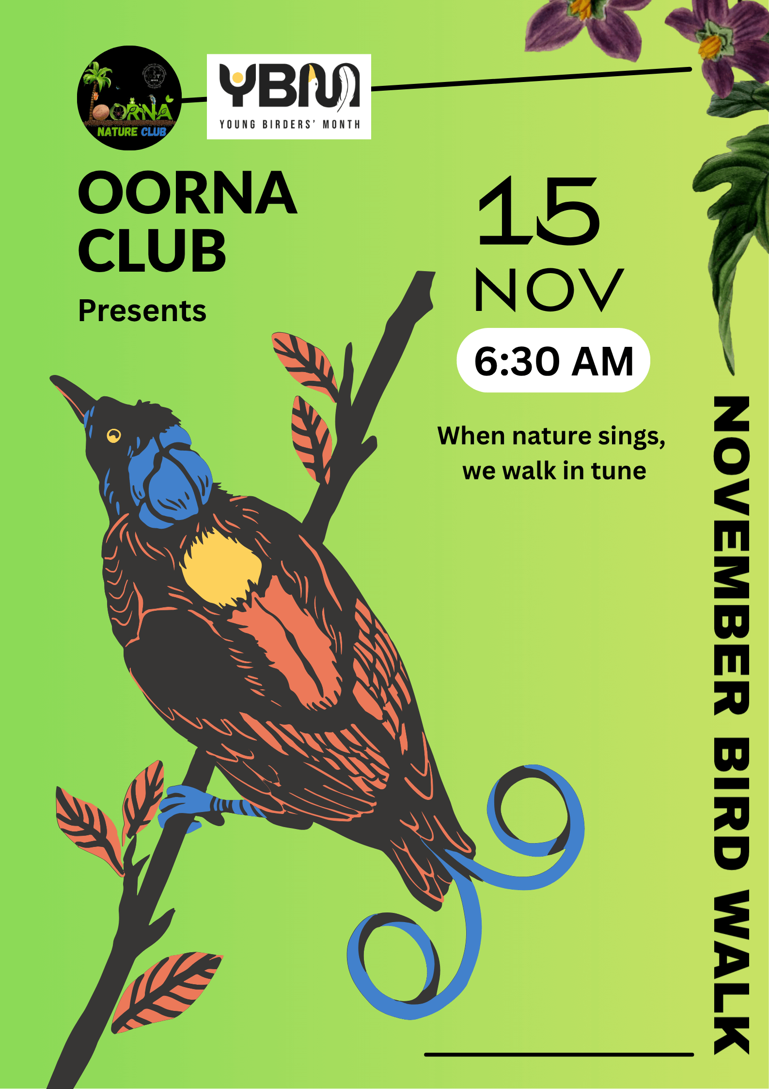 November Bird Walk