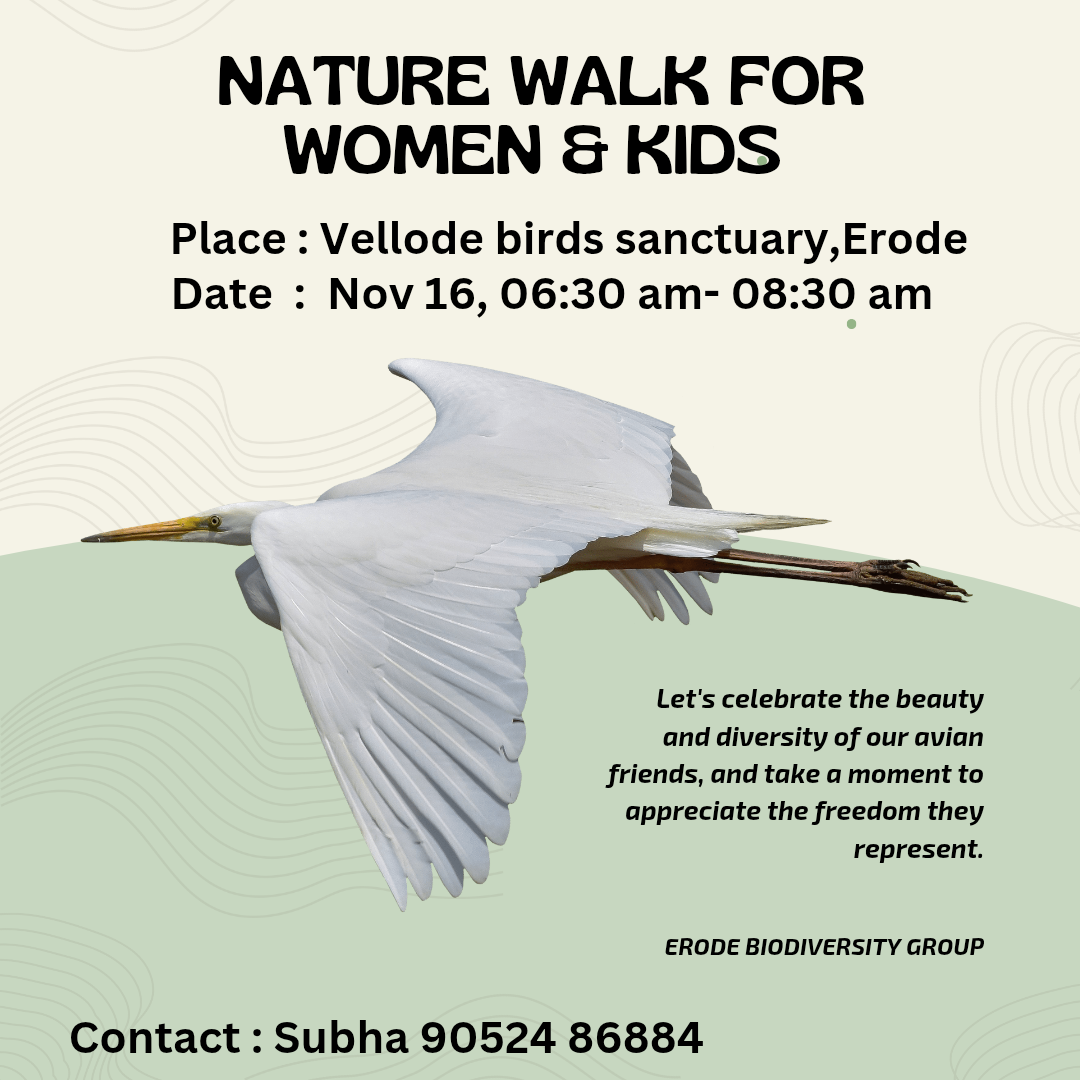 Nature walk for Women and Kids at Vellode birds sanctuary, Erode