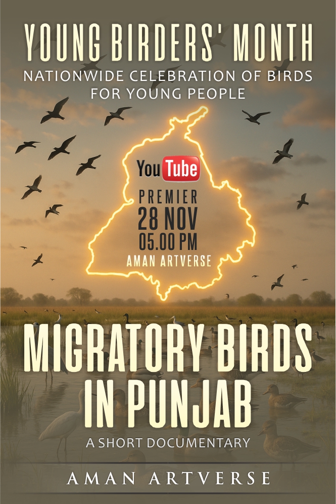 Migratory Birds in Punjab