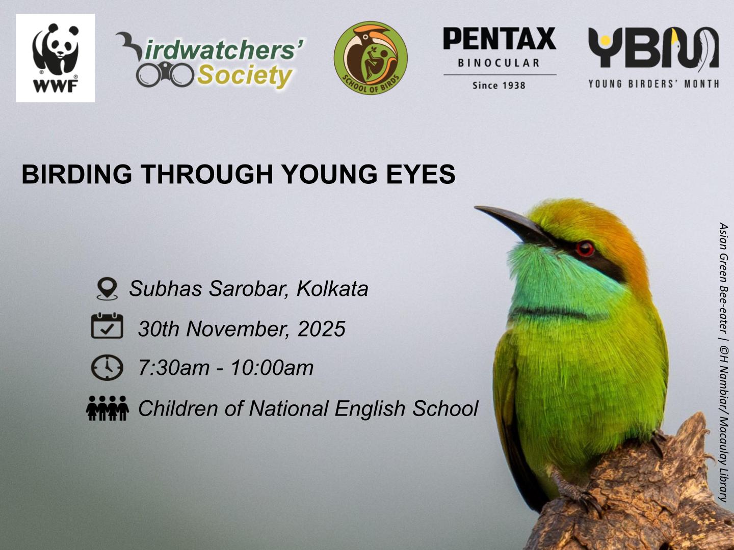 Birding Through Young Eyes