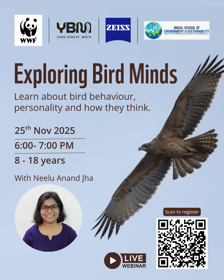 Exploring Birds Minds: Learn about cognition, curiosity, and character in birds