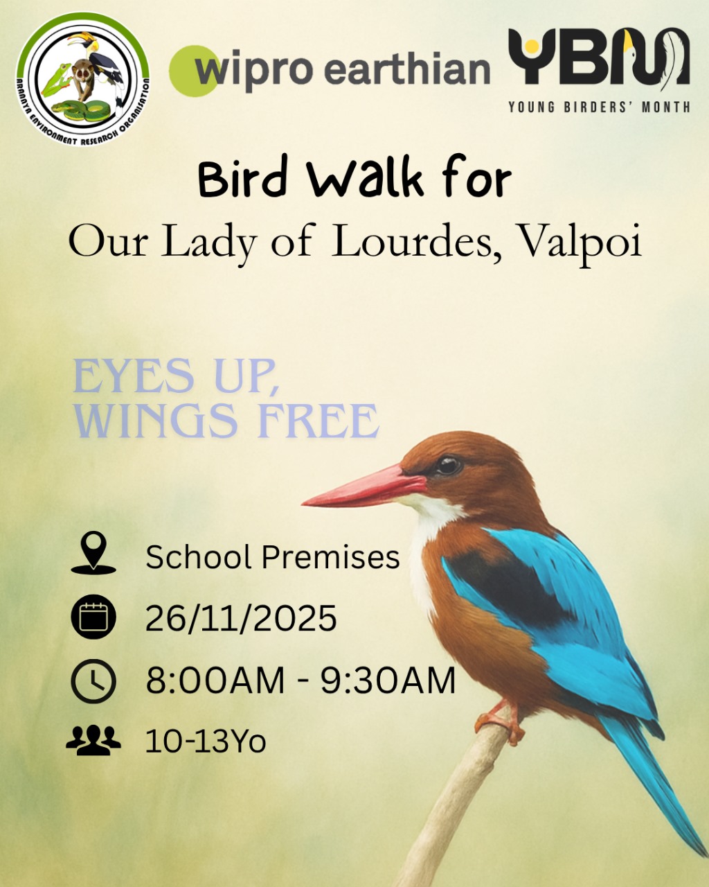 Bird Walk