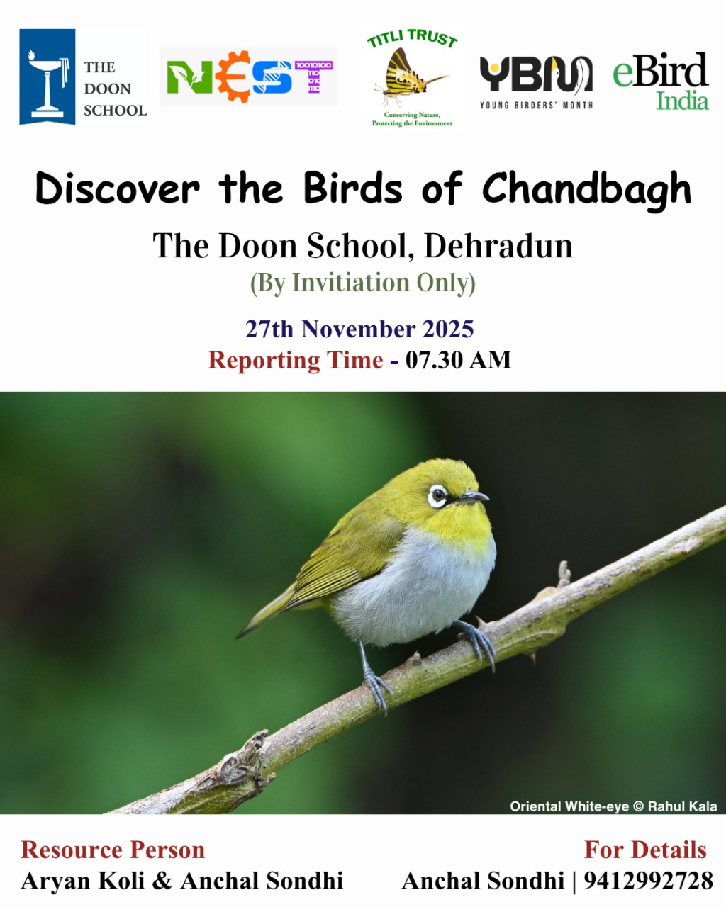 Discover the birds of Chandbag