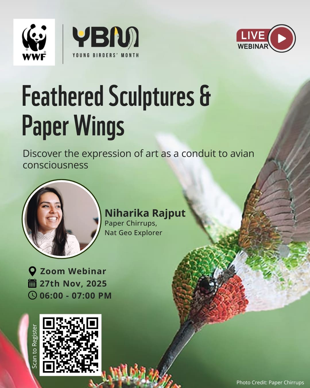 Feathered Sculptures and Paper Wings