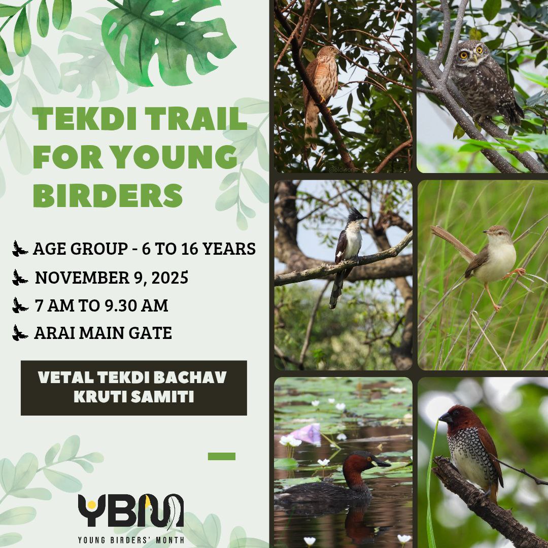 Young Birders’ Tekdi Trail