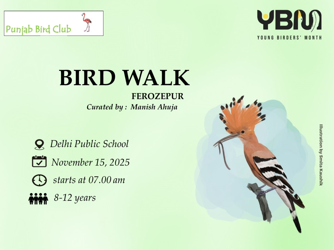 Bird Walk in Ferozepur